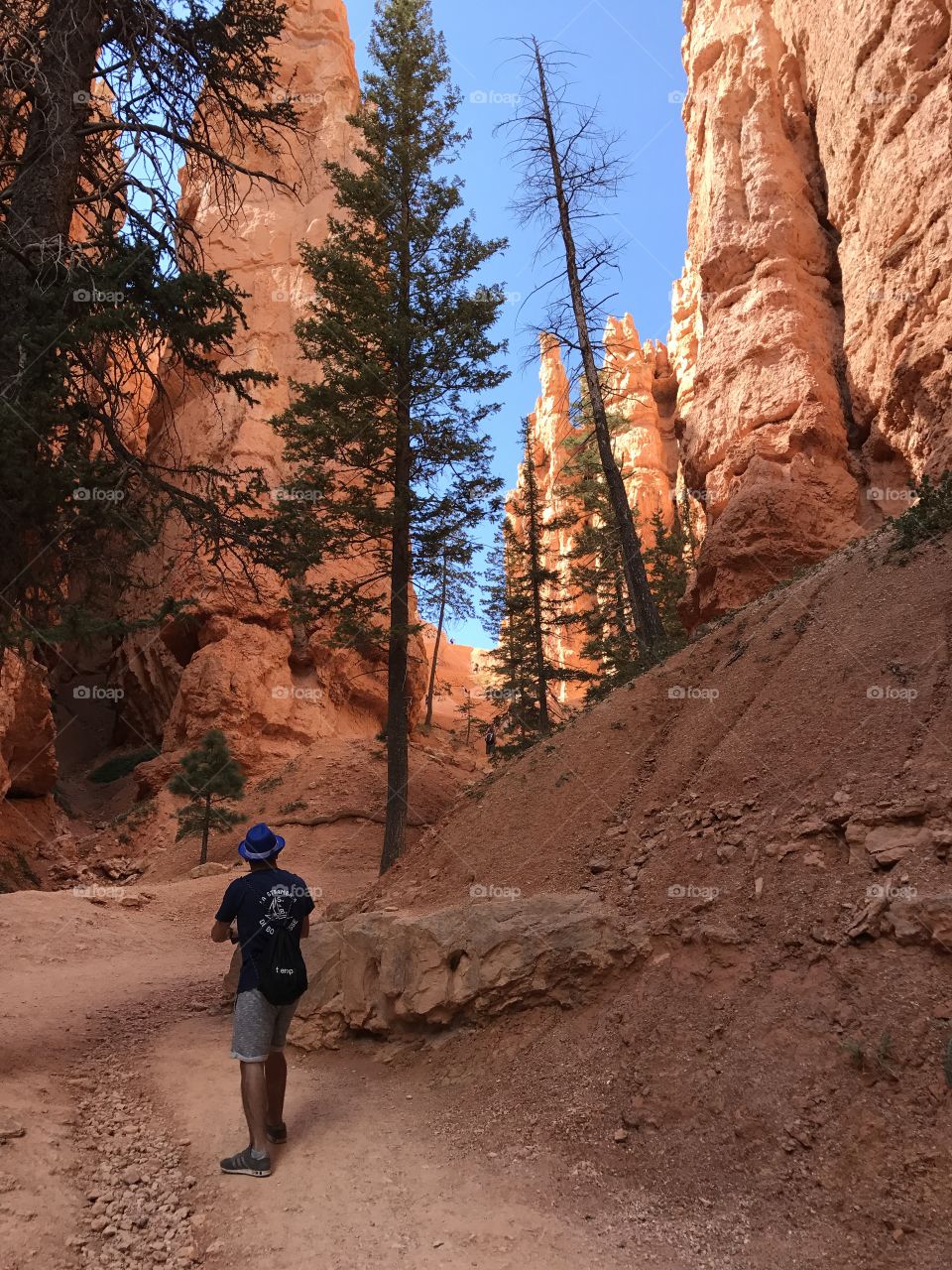 Bryce Canyon