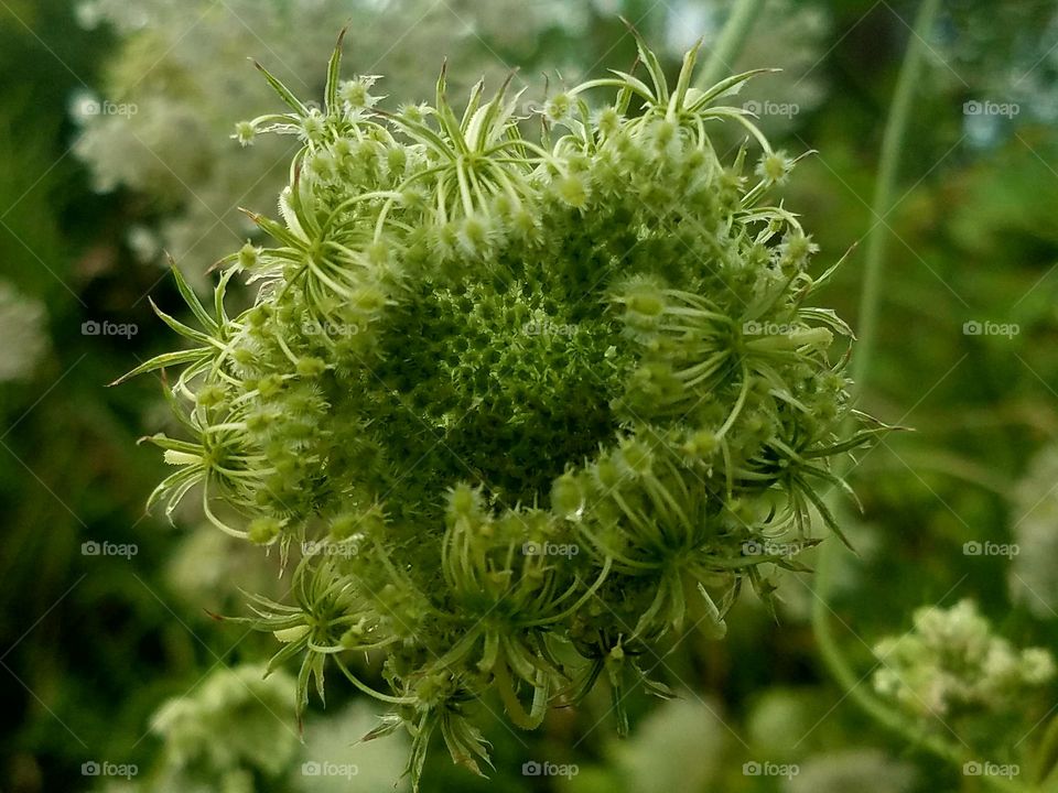 Driving the Back Roads and enjoying everything around us