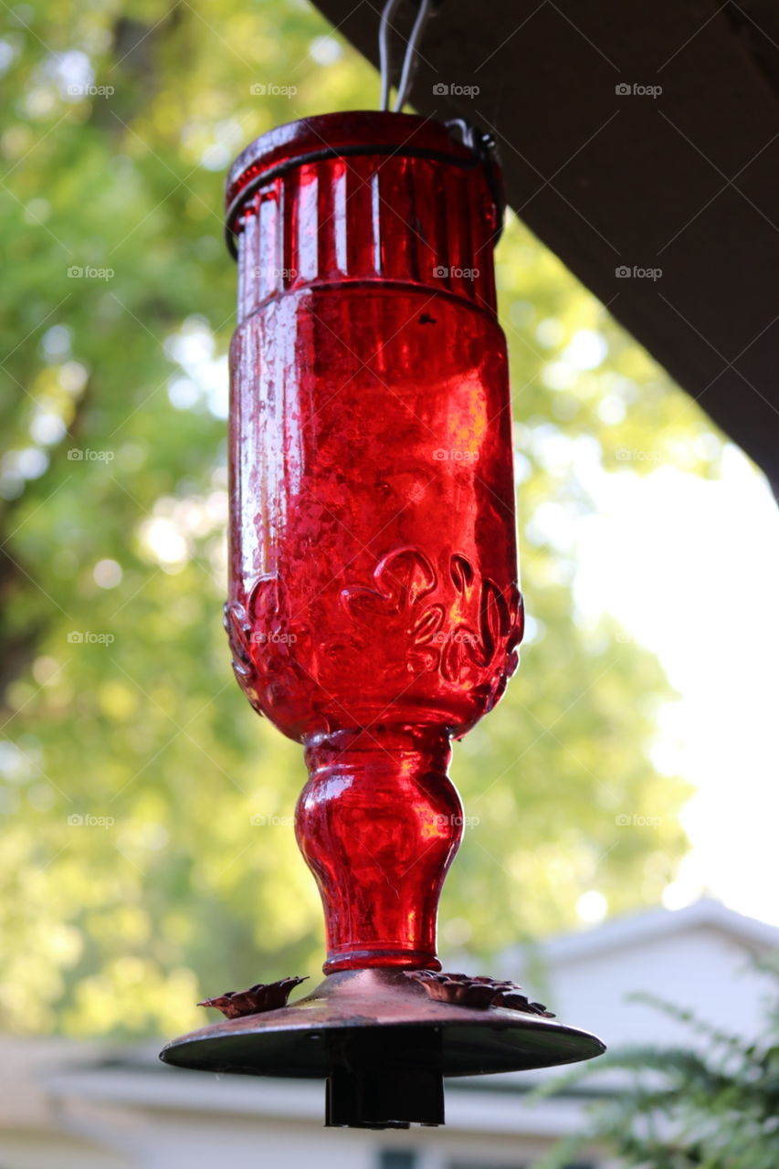 hummingbird feeder