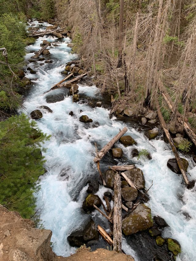 Rushing river in Oregon 
