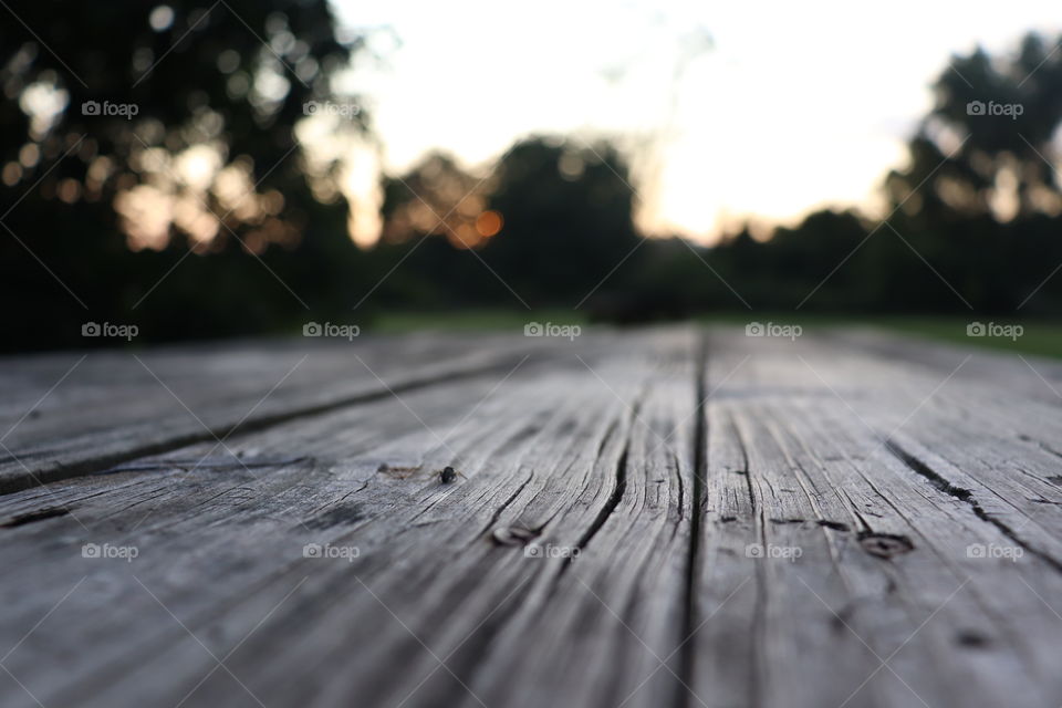 Grains of wood can be so elegant, bugs are cool too