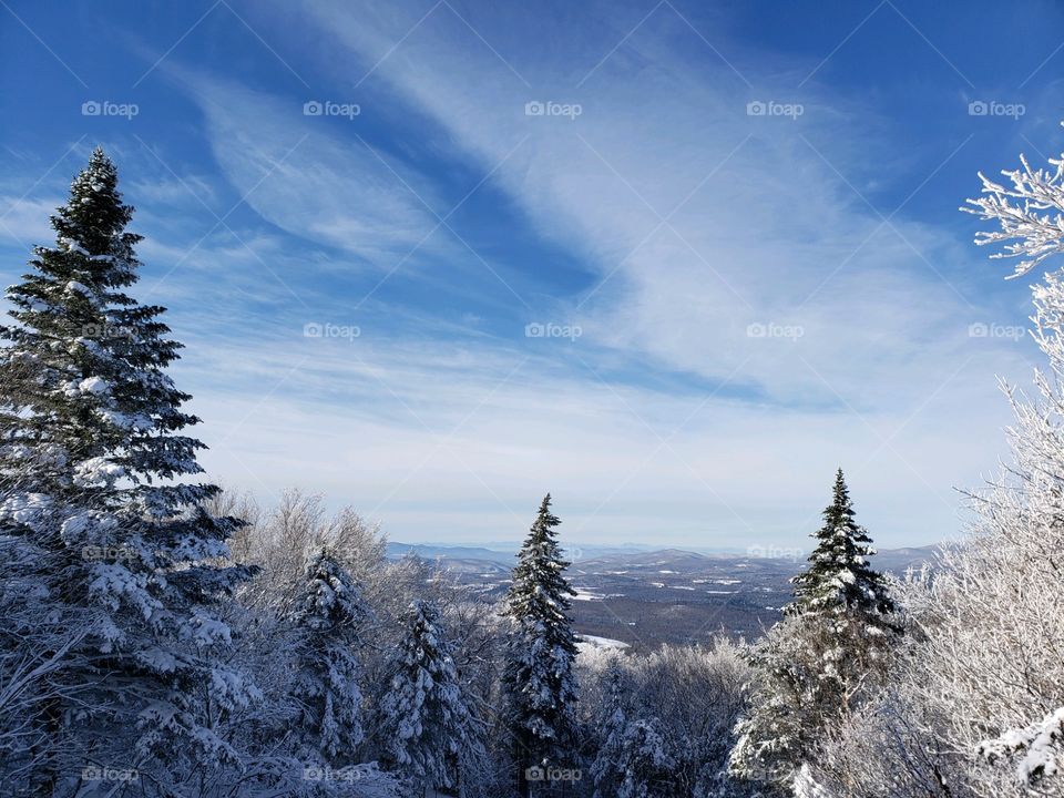 Snow, Winter, Frost, Cold, Ice