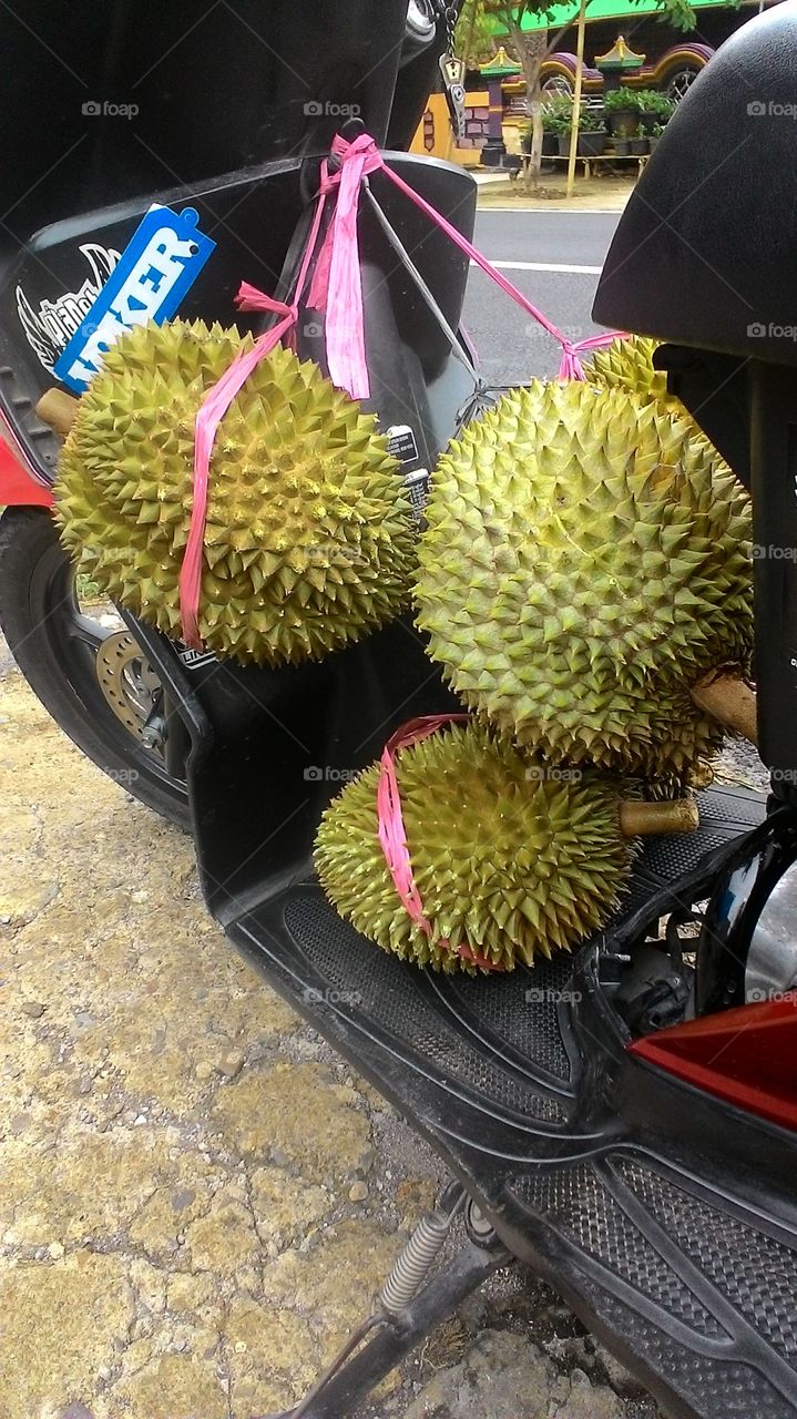 Durian indo