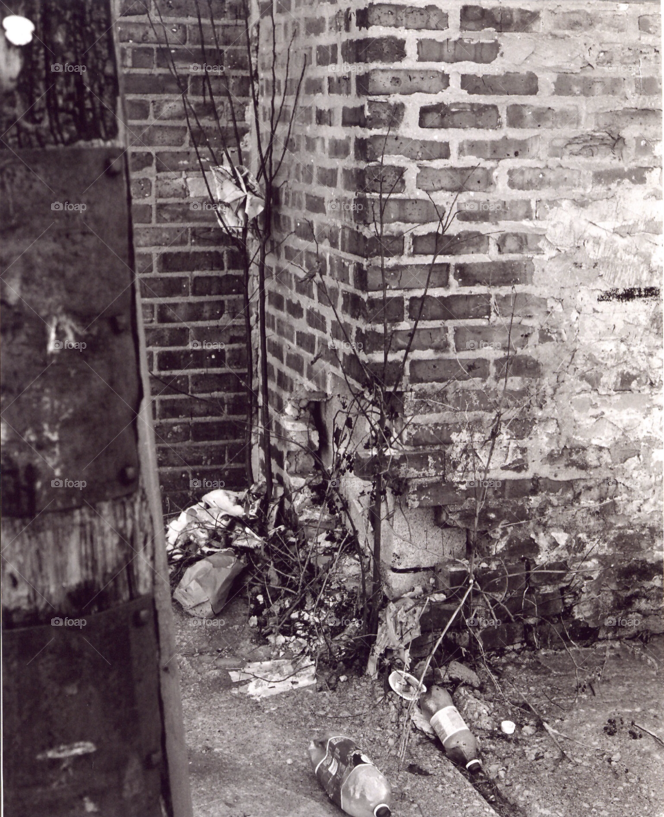 city wood gray urban by squishypie