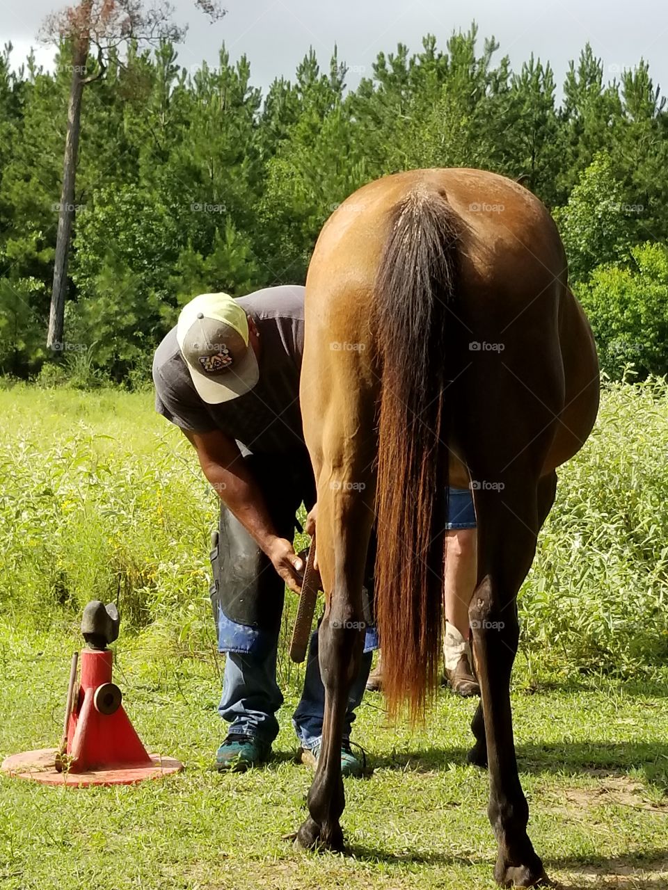 farrier