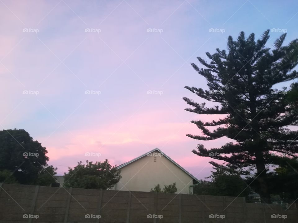 Pink sun set