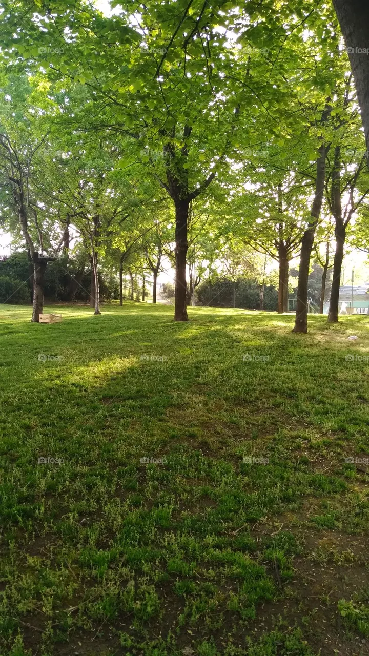 natural landscape