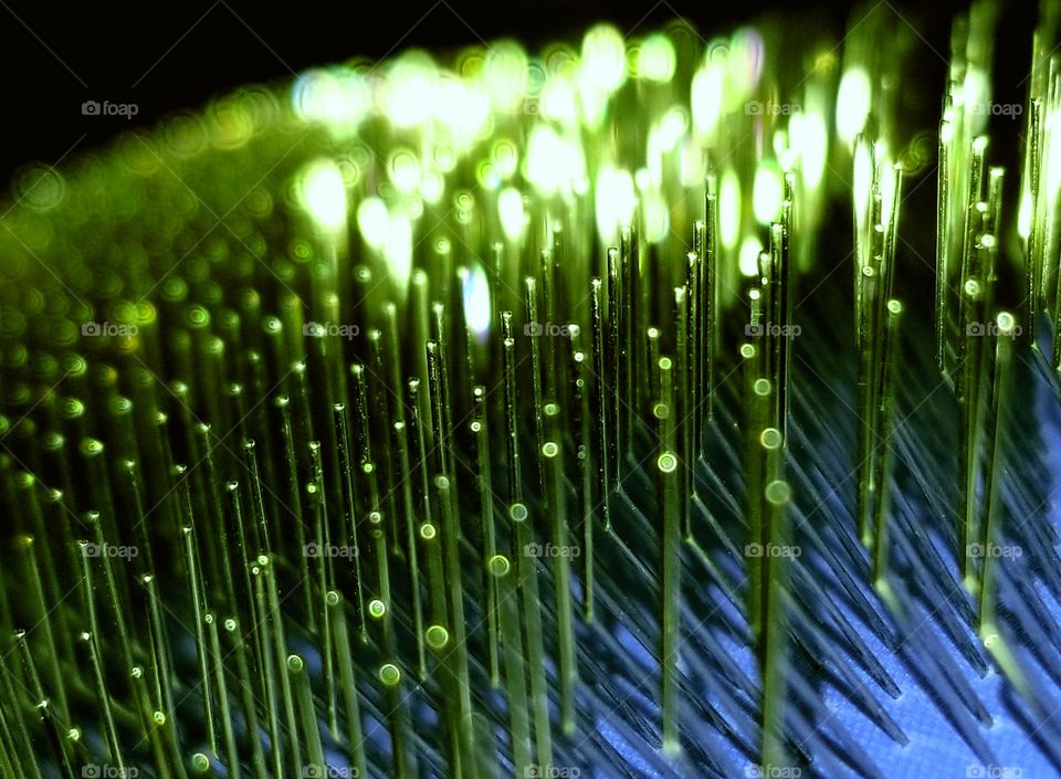 Pet brush against ceiling light