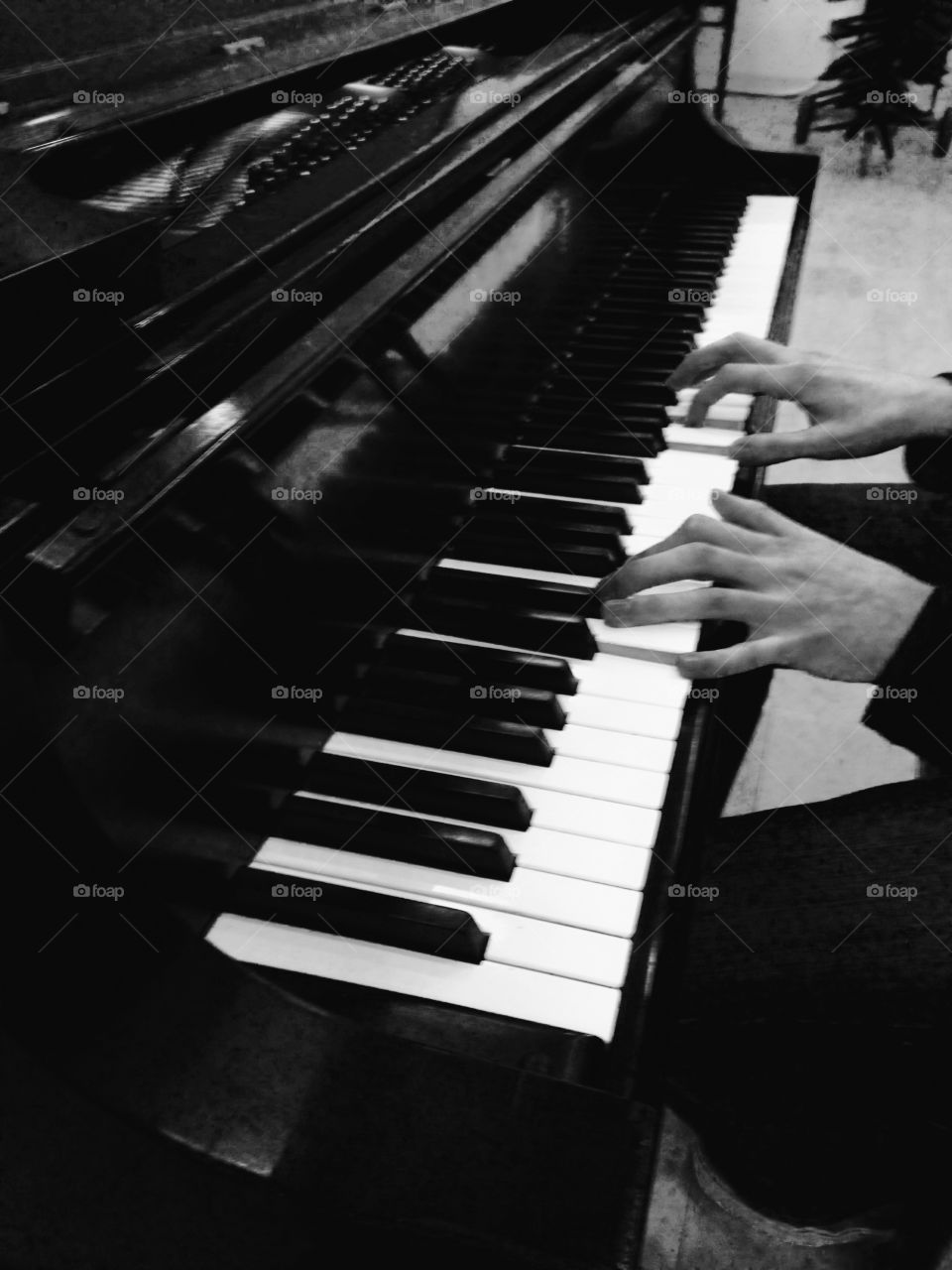 Piano . Someone's hands while they play me a song 