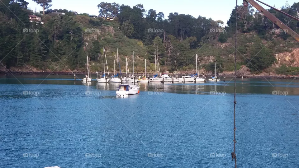 sailboats