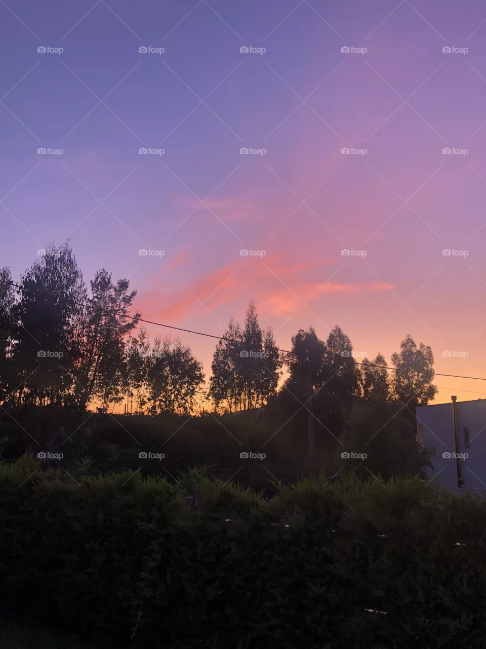 Sunrise