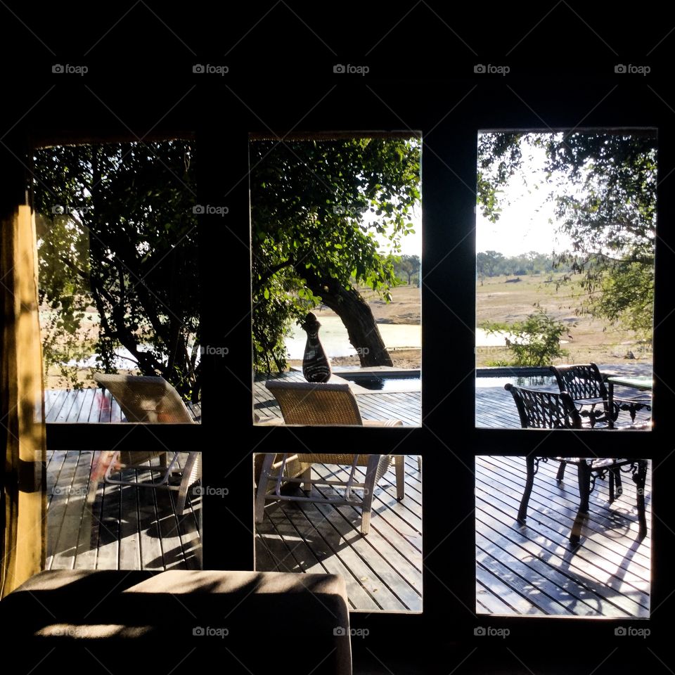 View of South African Bush through Lodge Window