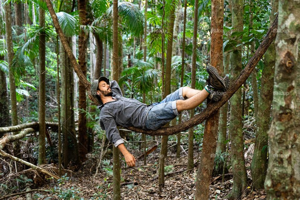 natural hammock