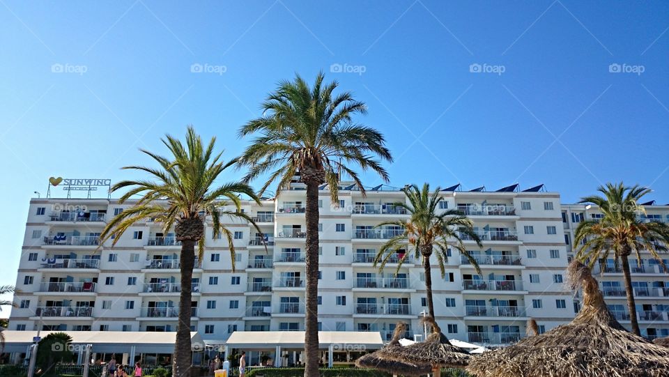 Paradise on Mallorca . Sunwing Alcudia Beach Hotel Nuewas Palmeras Mallorca 
