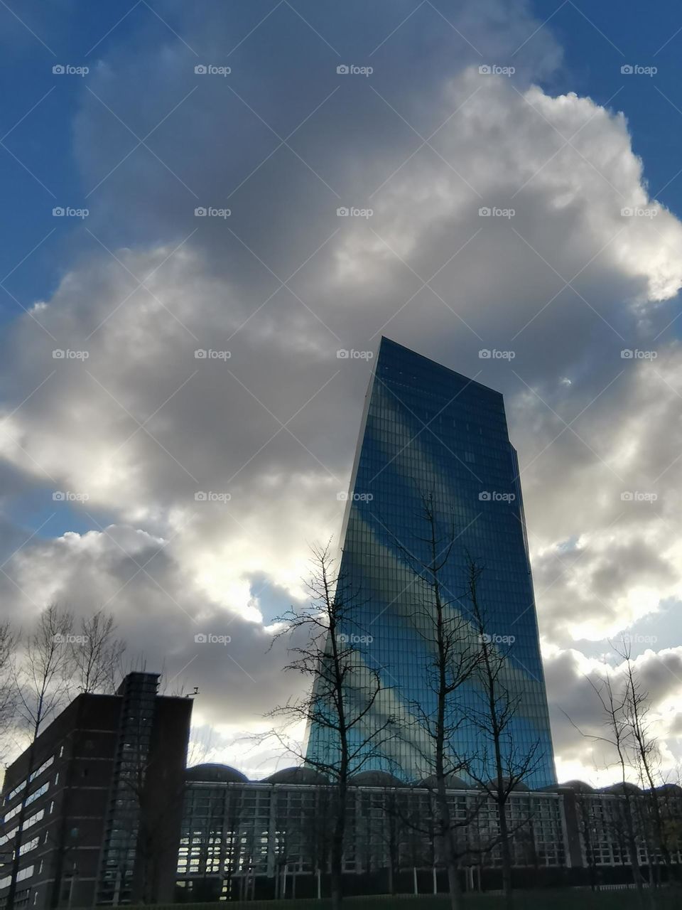 European Central Bank (EZB) Frankfurt/Main