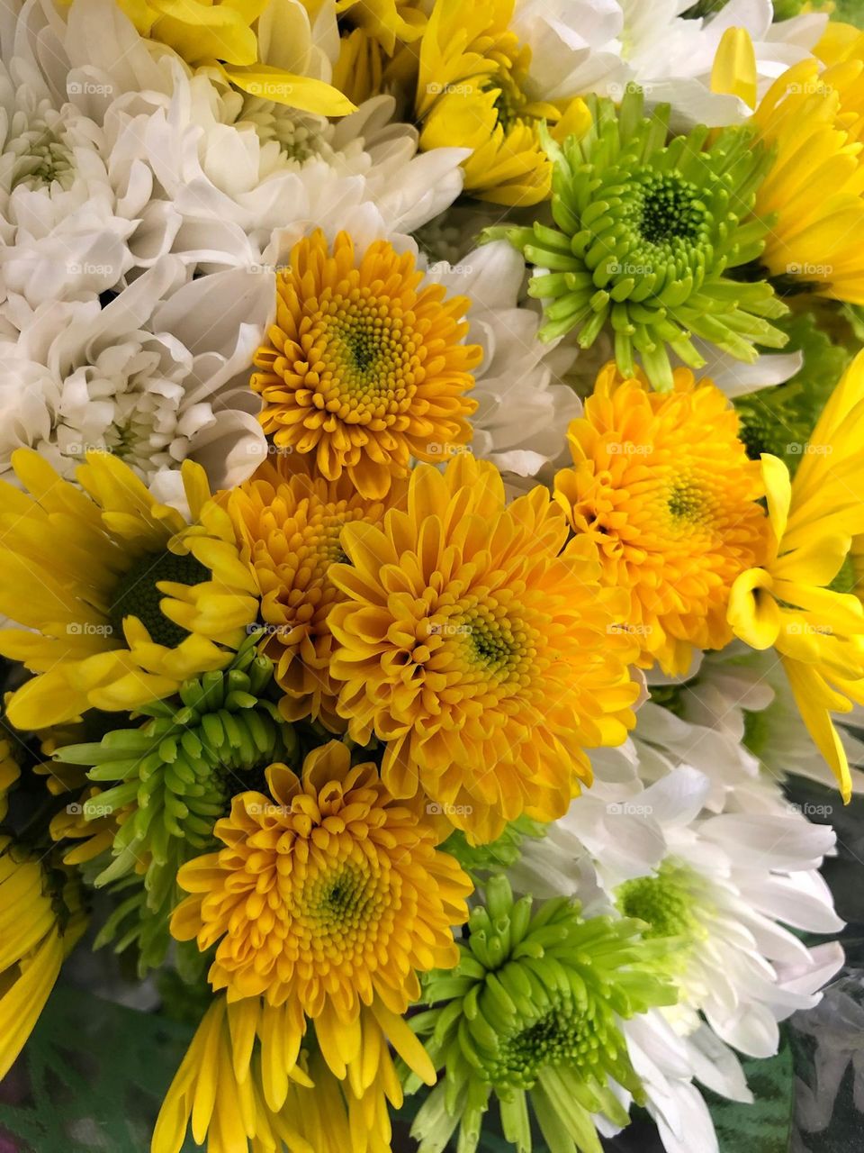 Bouquet of vivid flowers.