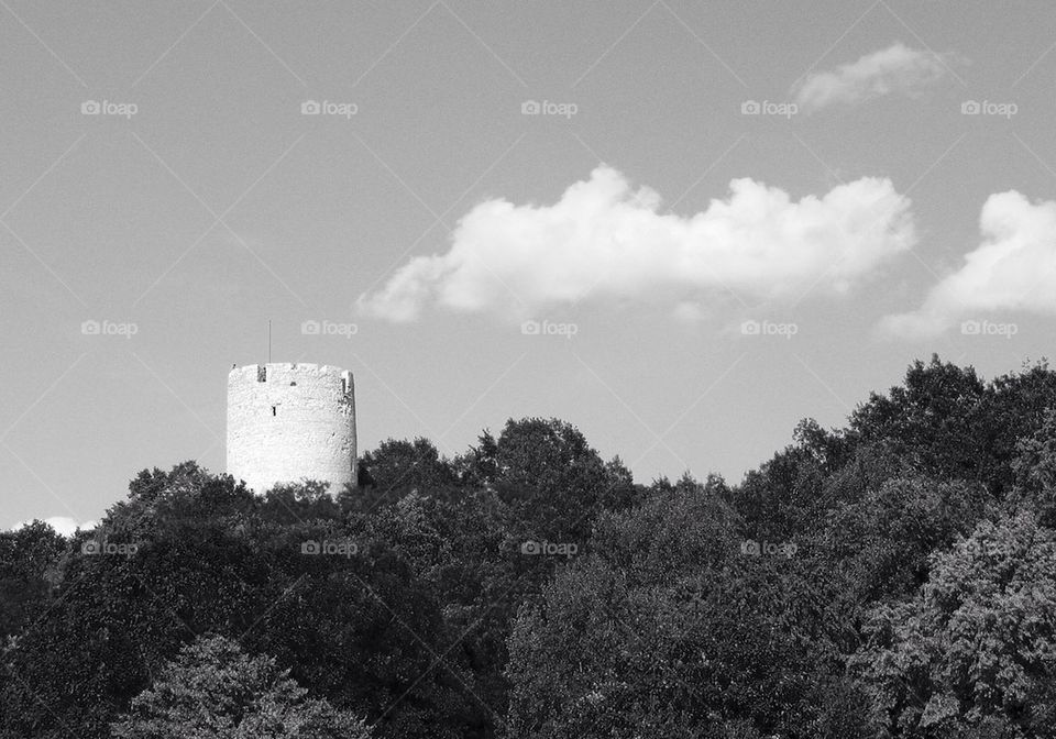 no people nobody horizontal forest by przemekklos