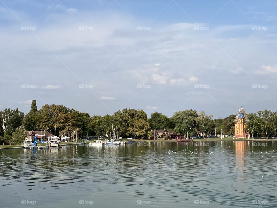 Subotica Serbia Palic lake autumn scenery