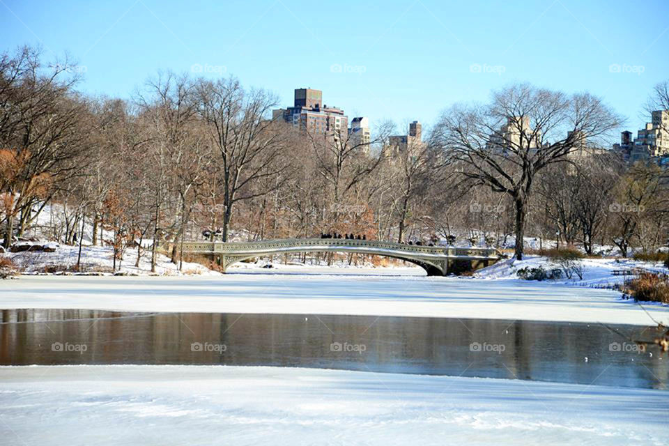 Central Park in winter. snow covers Central Park in NYC