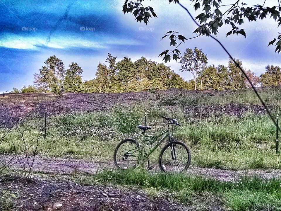 Mongoose bike . Mongoose bike on woods road
