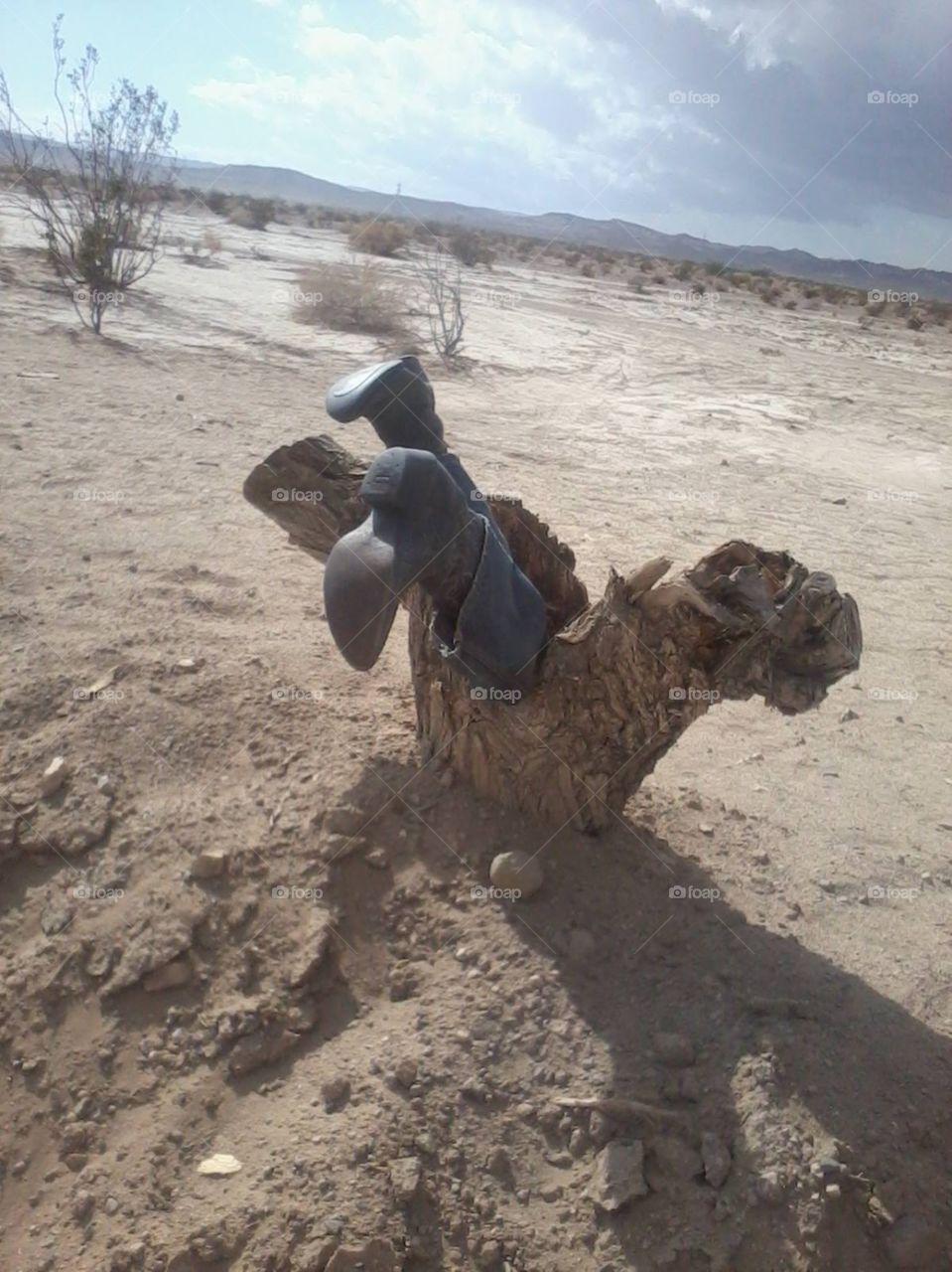 boots. weird photo in the desert 