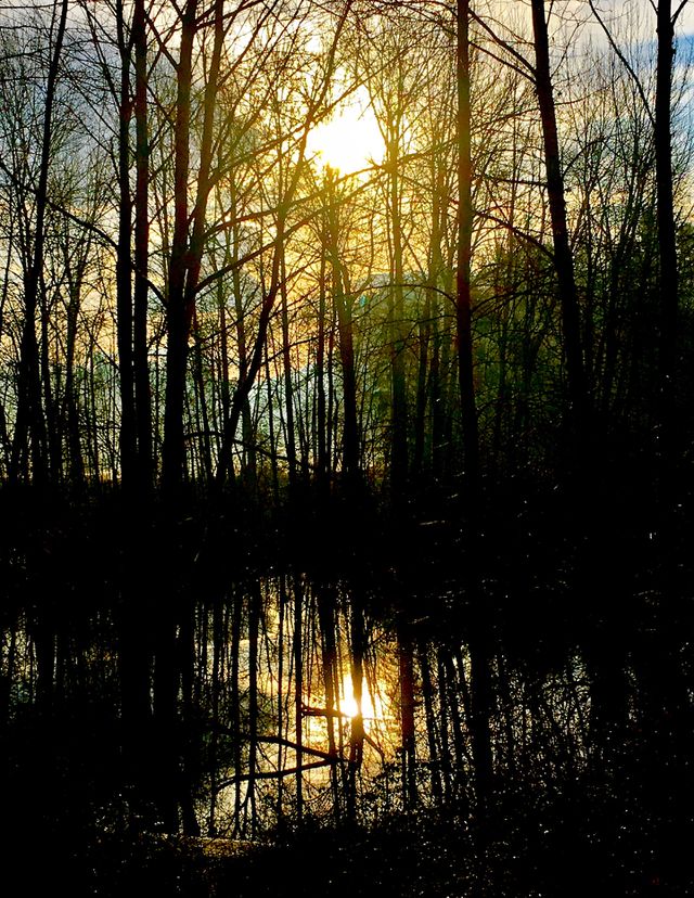 Darkness of Morning 