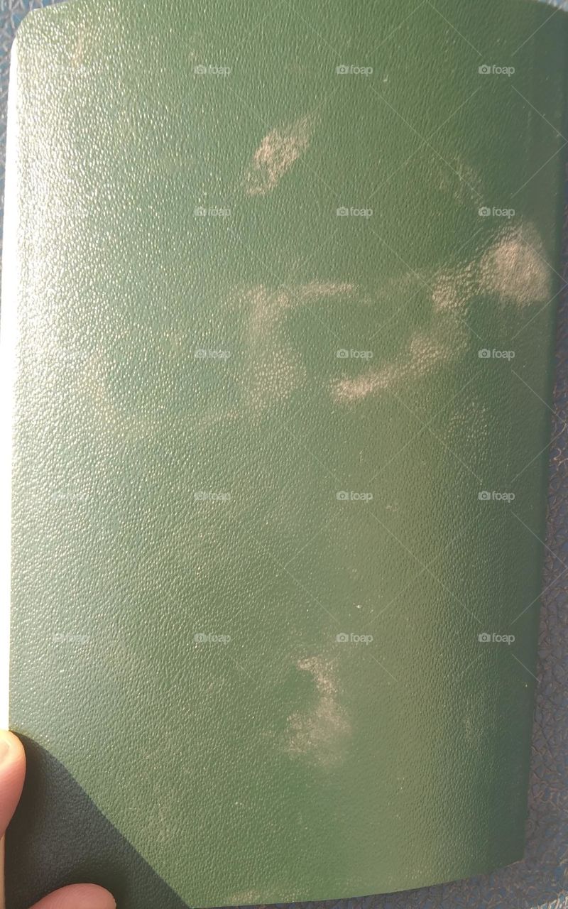 invalid passport....