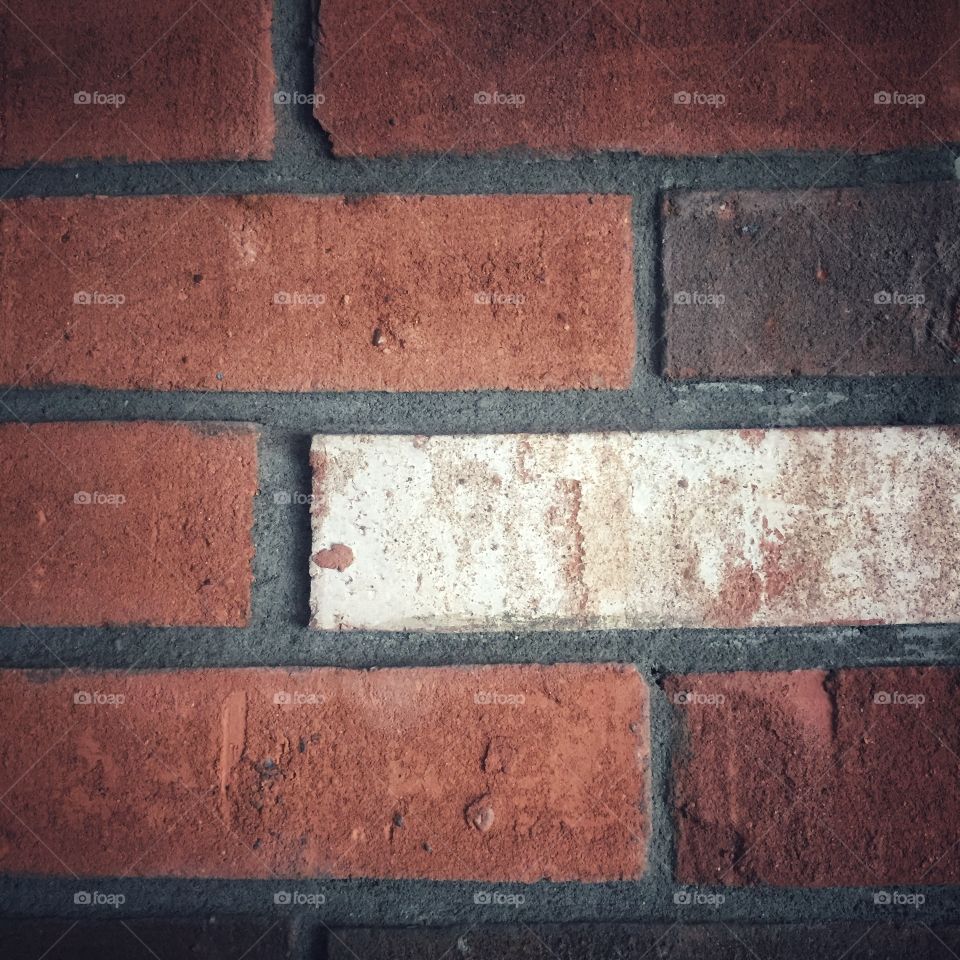 A brick wall. One brick is white and the others are reddish brown. The wall is close up.