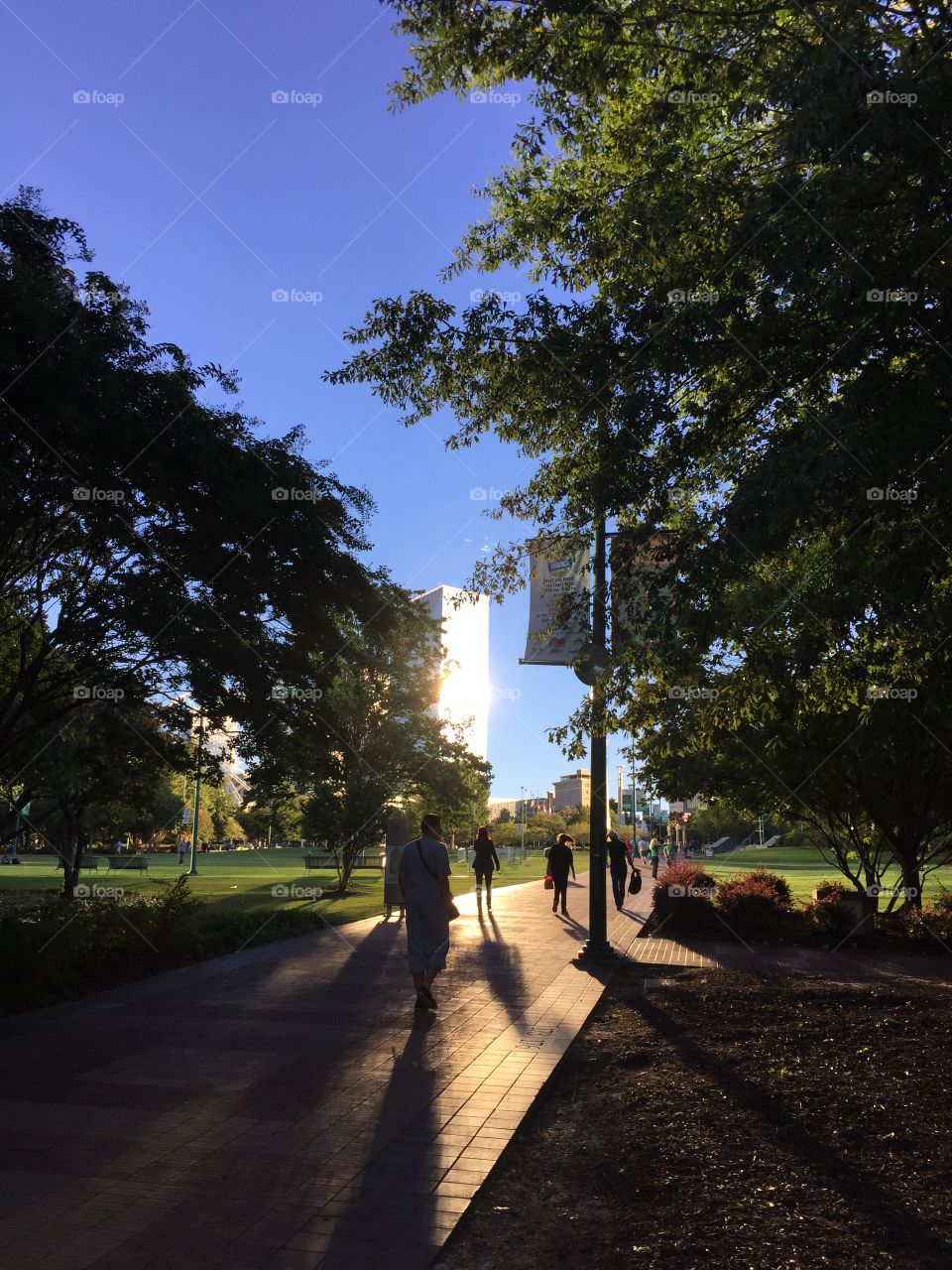 Evening walk in park . Walking people in park with bright shining reflection from building in back ground 