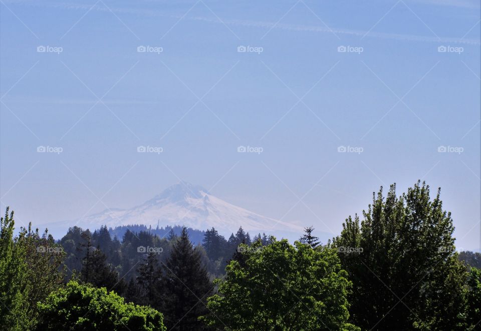 Mt Hood