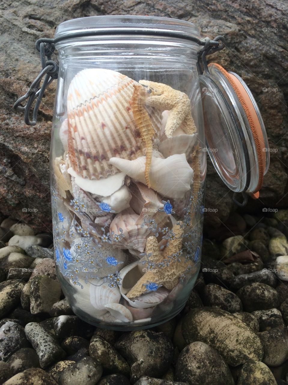 Seashells in jar