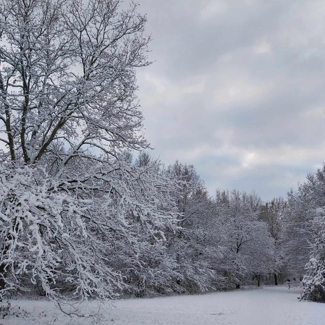 frost