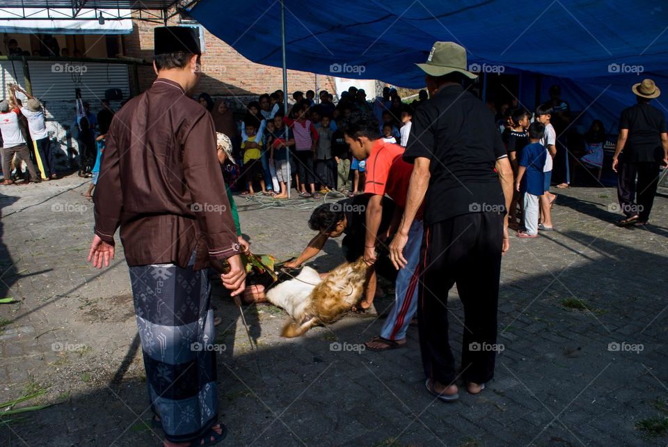 Celebrating Eid al-Adha Muslims must slaughter a goat
