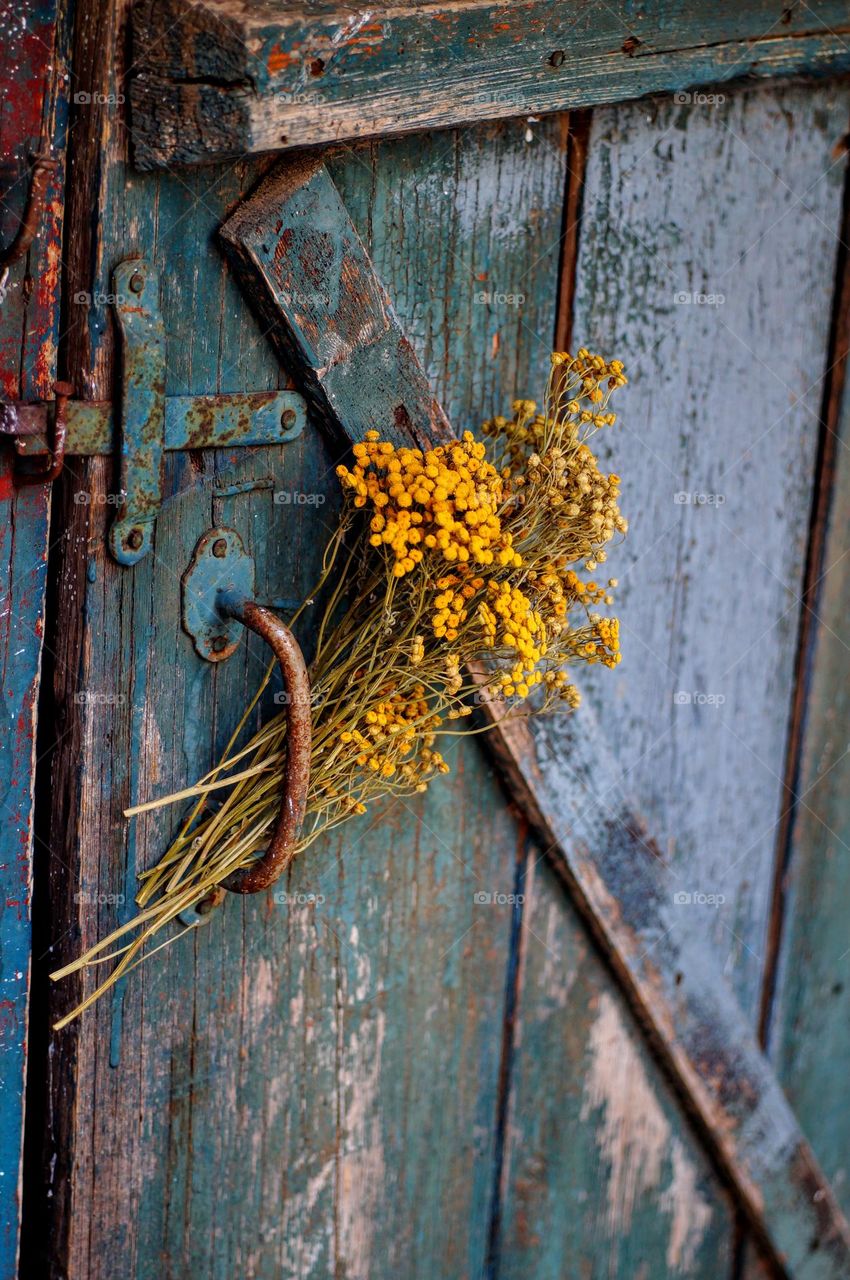 yellow flowers in a handle of an old blue rustic painted door