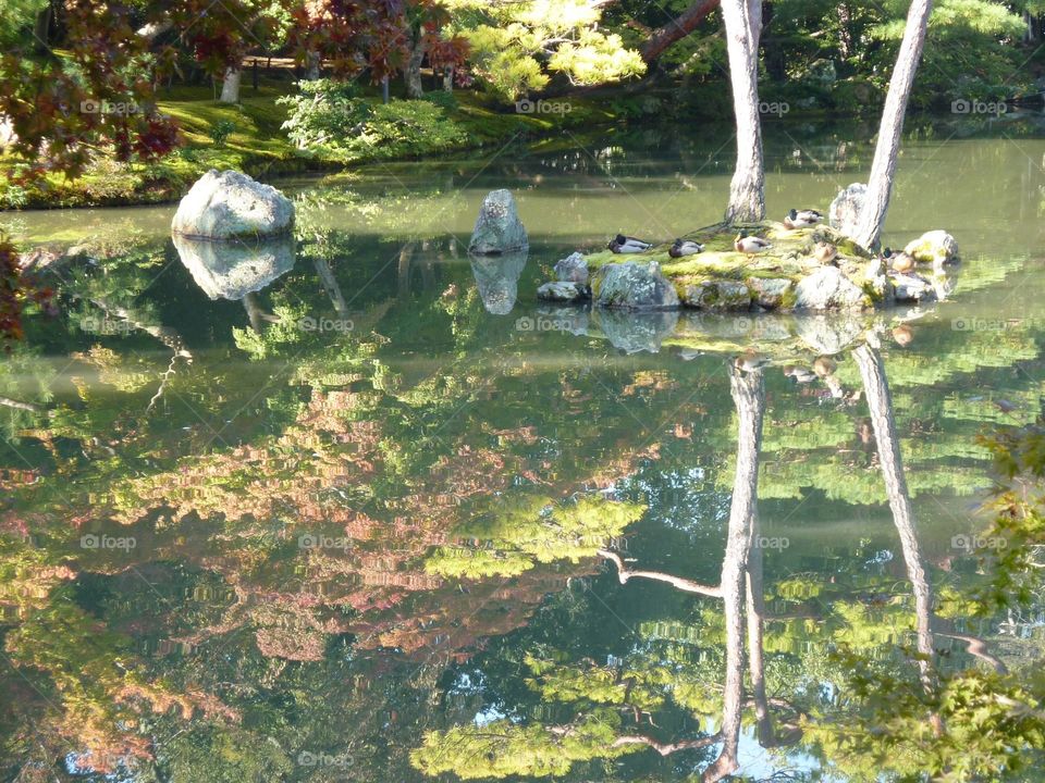 Zen garden reflection