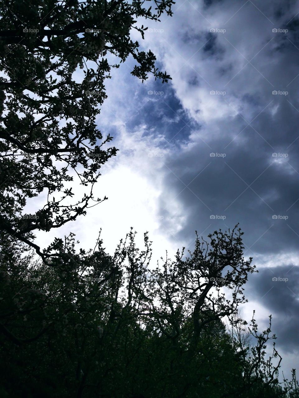 A cloudy sky