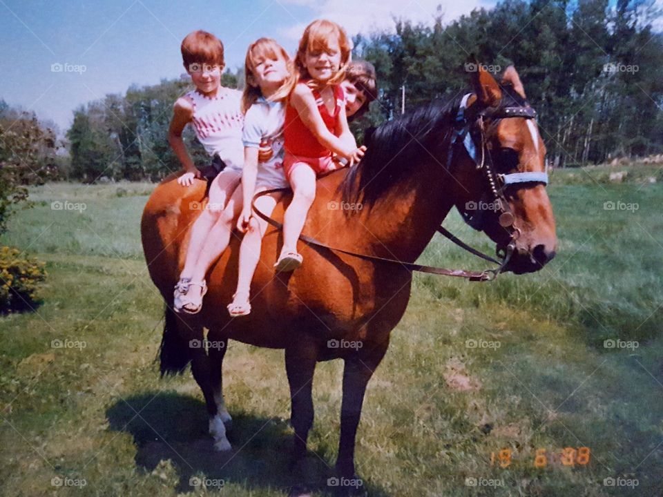 Children enjoying horse ride
