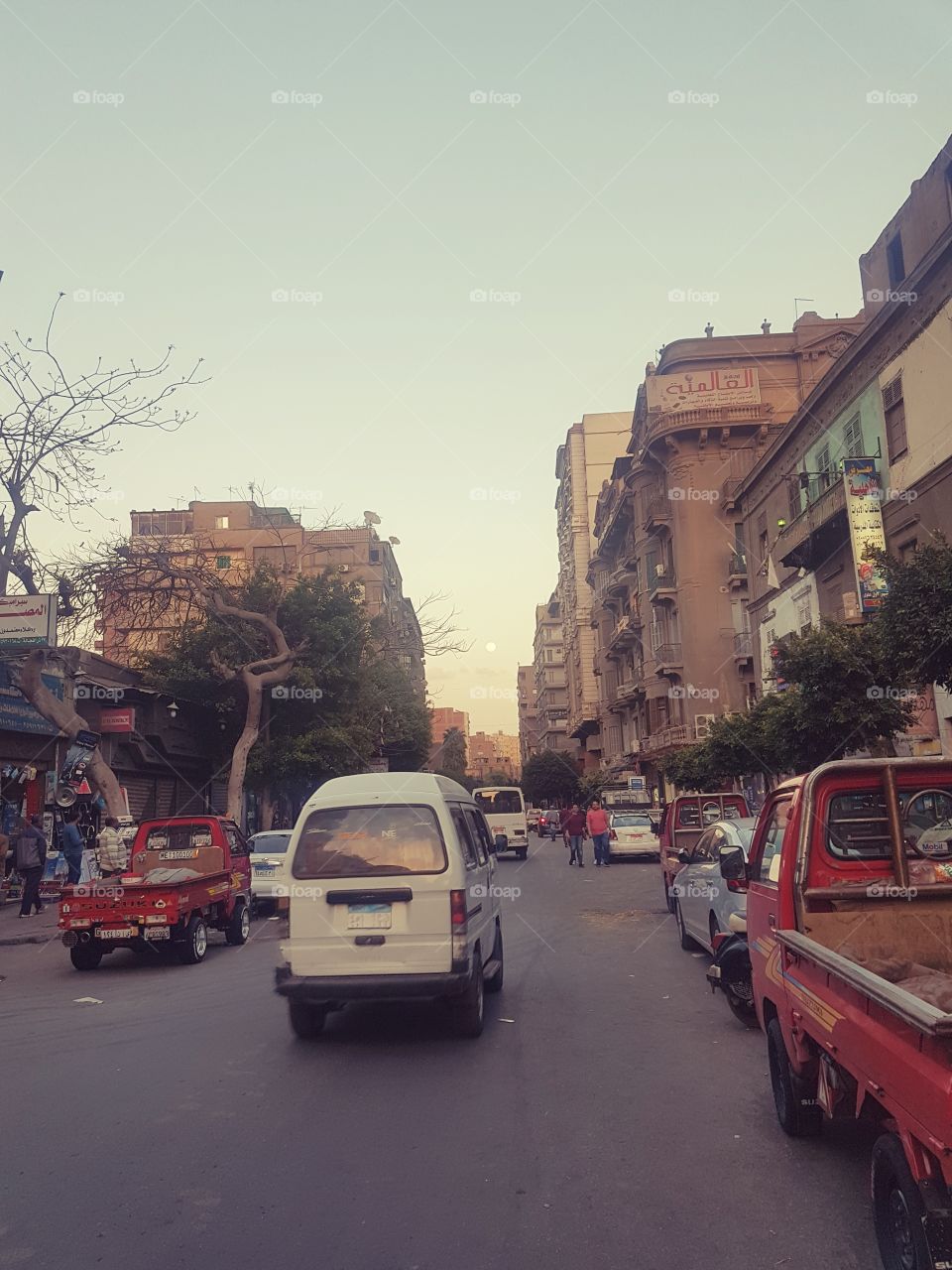 street - Cars - Stores - Egypt