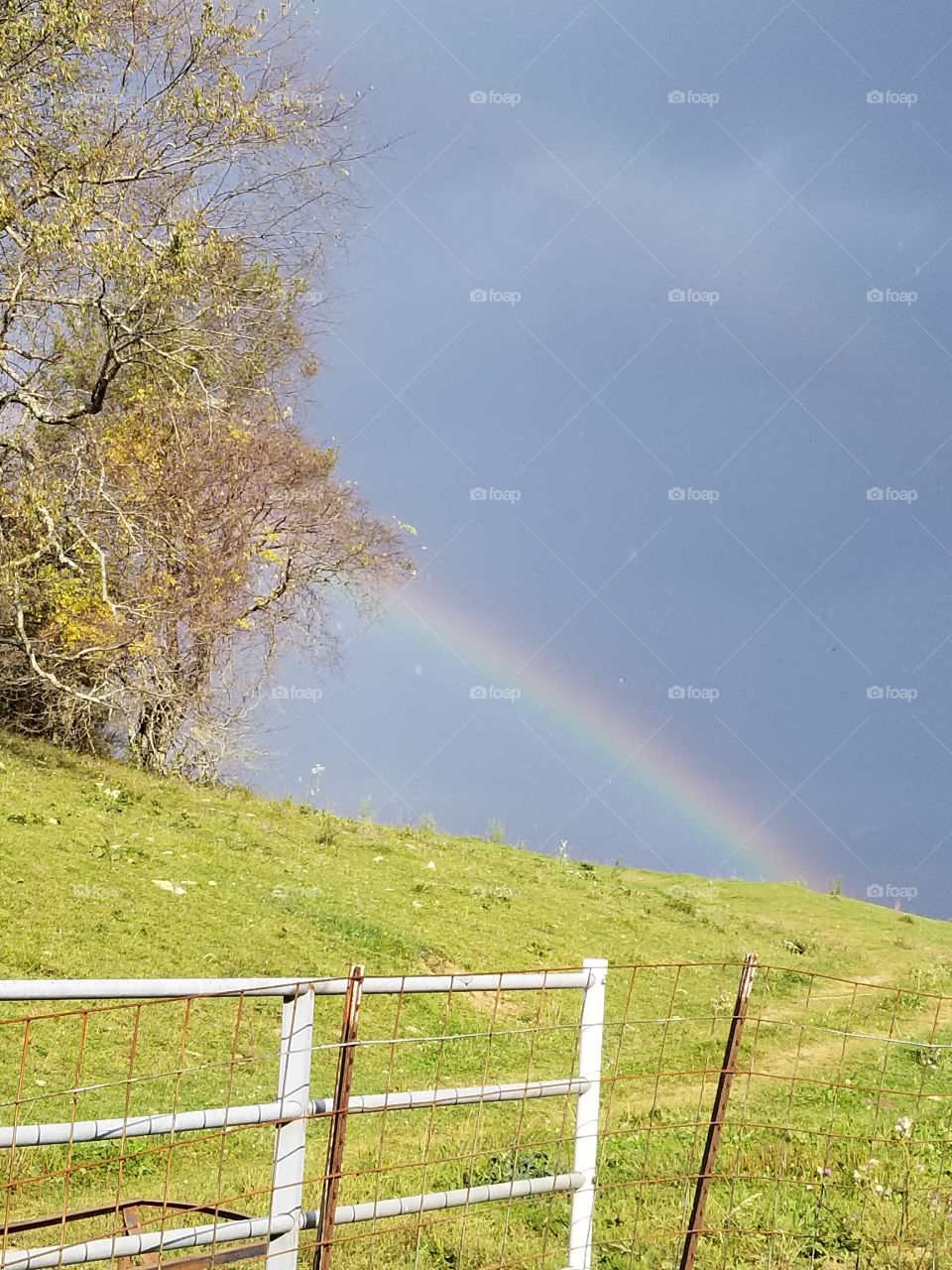 Rainbow after the rain