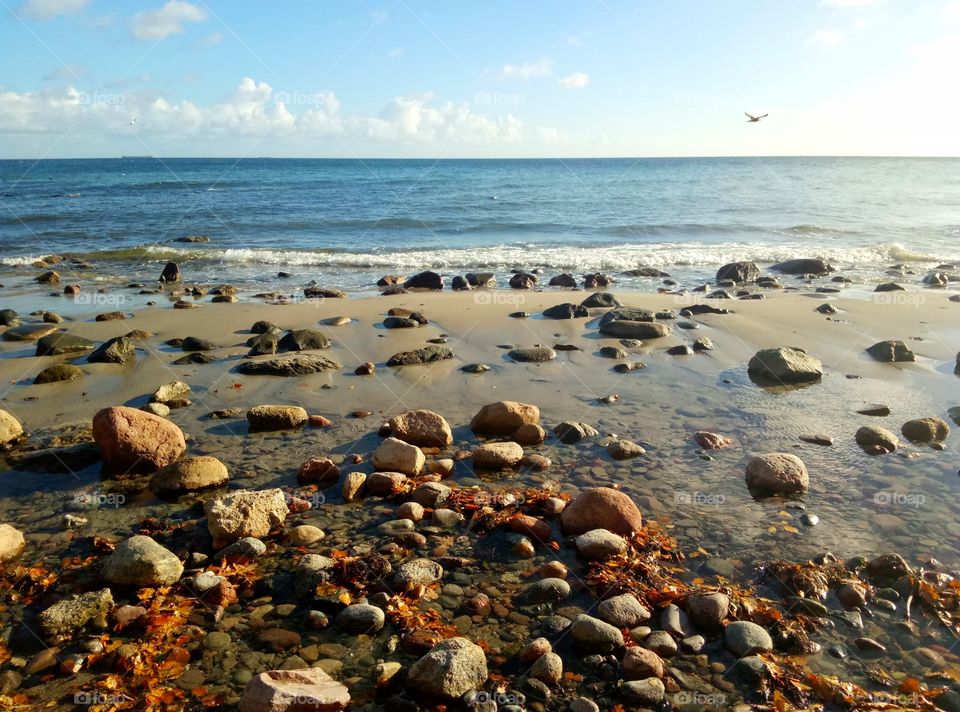 Beach, Water, Seashore, Sea, No Person