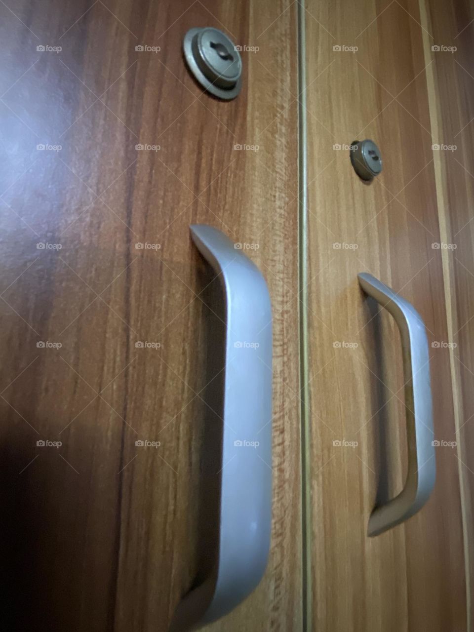 Wardrobe Door Handle