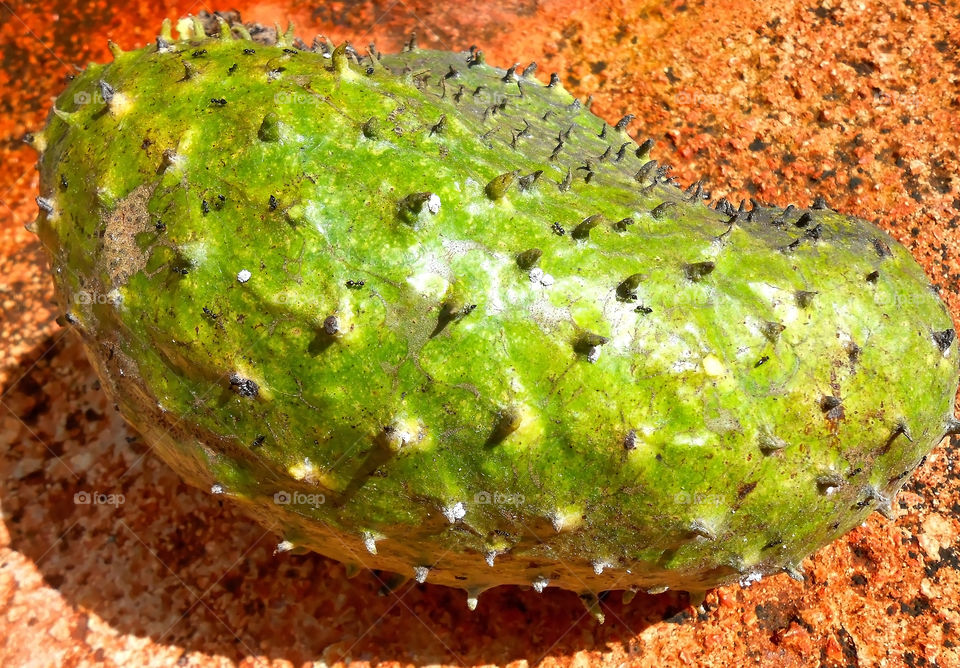 Ripe Soursop