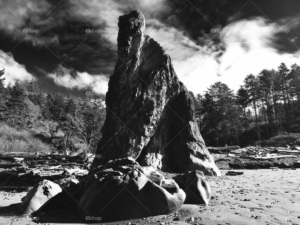 Gorilla Rock, Ruby Beach, Olympic Peninsula, Washington Coast