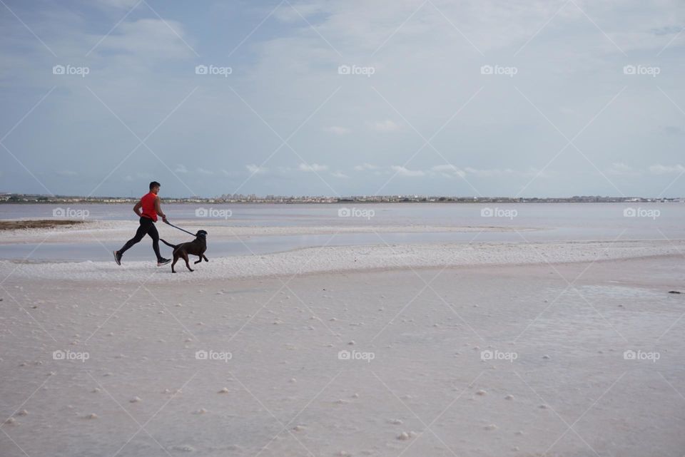 Sunrise#beach#ocean#human#dog