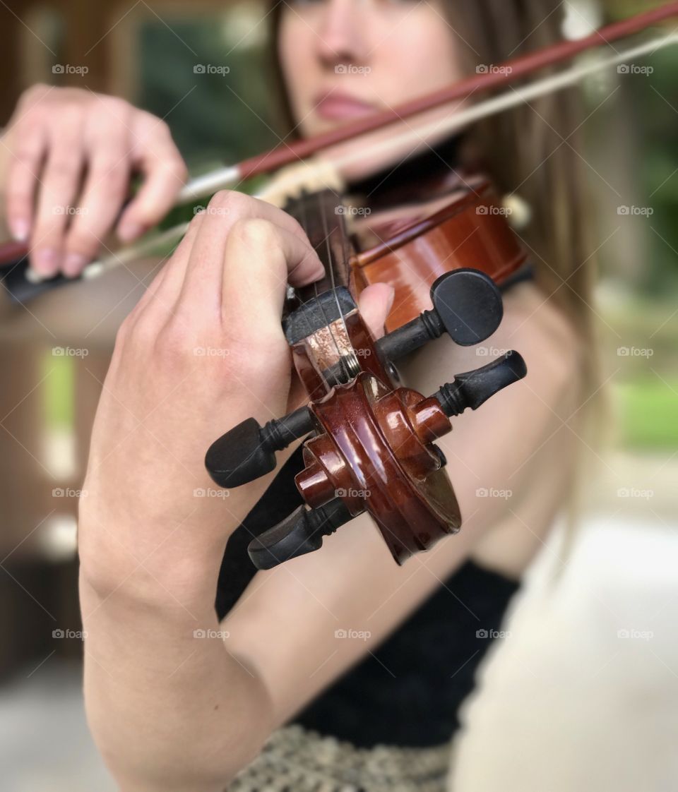 Violin