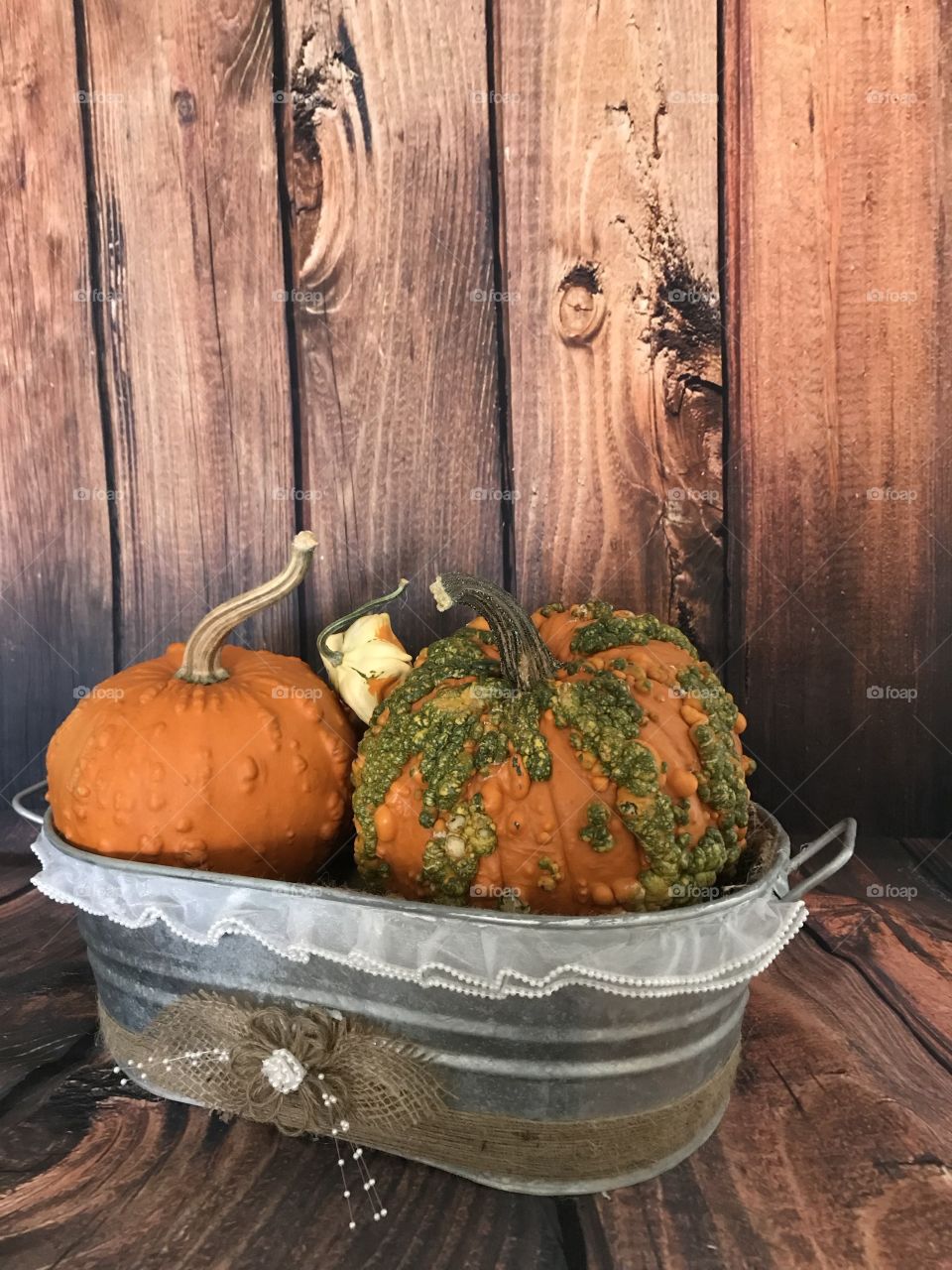 An old country style metal tub with freshly harvested and multi-colored gourds along with two heavily textured pumpkins in orange and green for the fall harvest and Halloween and Thanksgiving holidays. 