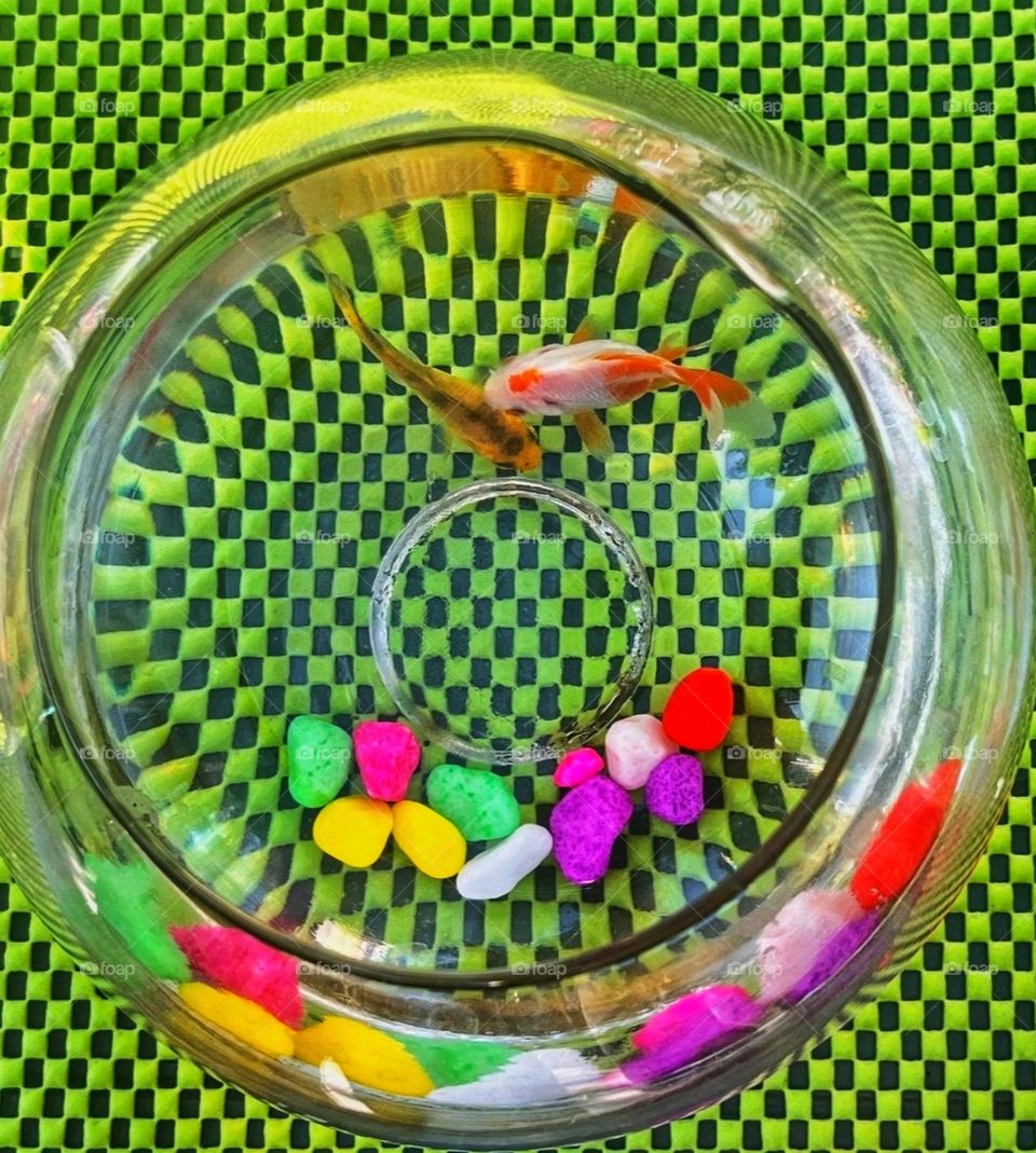 The background beneath the bowl has a green and black checkered pattern that reflects through the glass, creating a unique optical effect and adding depth to the scene.