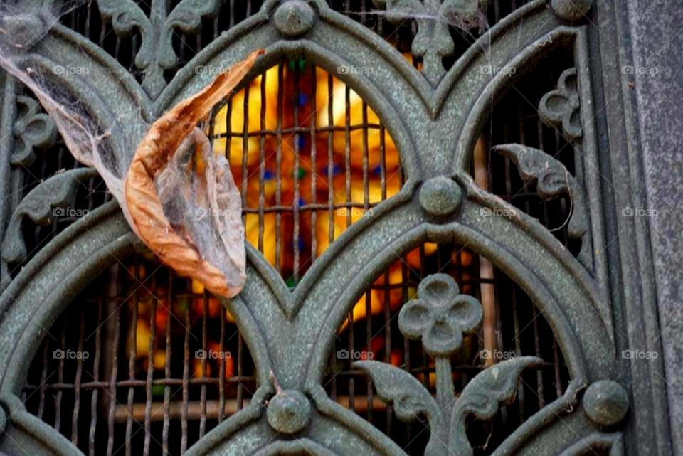 Fall leaf trapped in a spider web on the wrought iron door of a funeral chapel through which a flamboyant stained glass can be seen, at the Père Lachaise cemetery in Paris