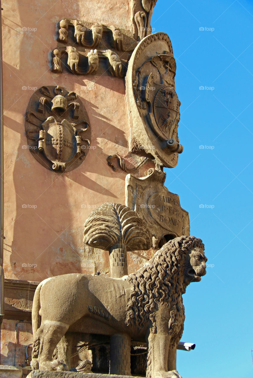 symbol of Viterbo: Lion