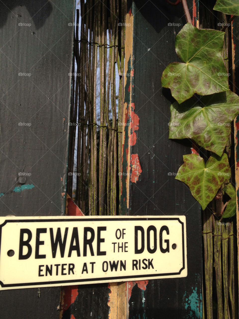 dog warning gate ivy by JanineorJ